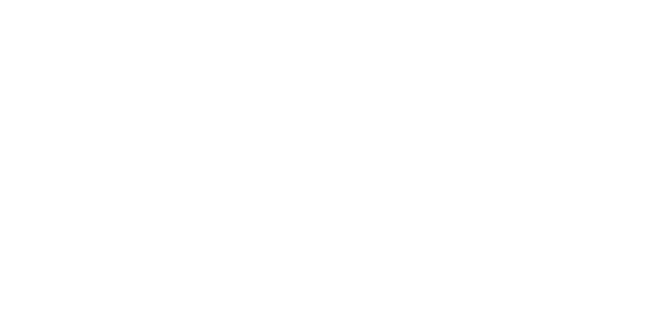 bsi-assurance
